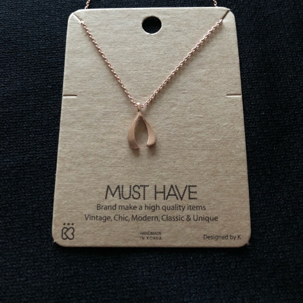 Wishbone necklace ✨